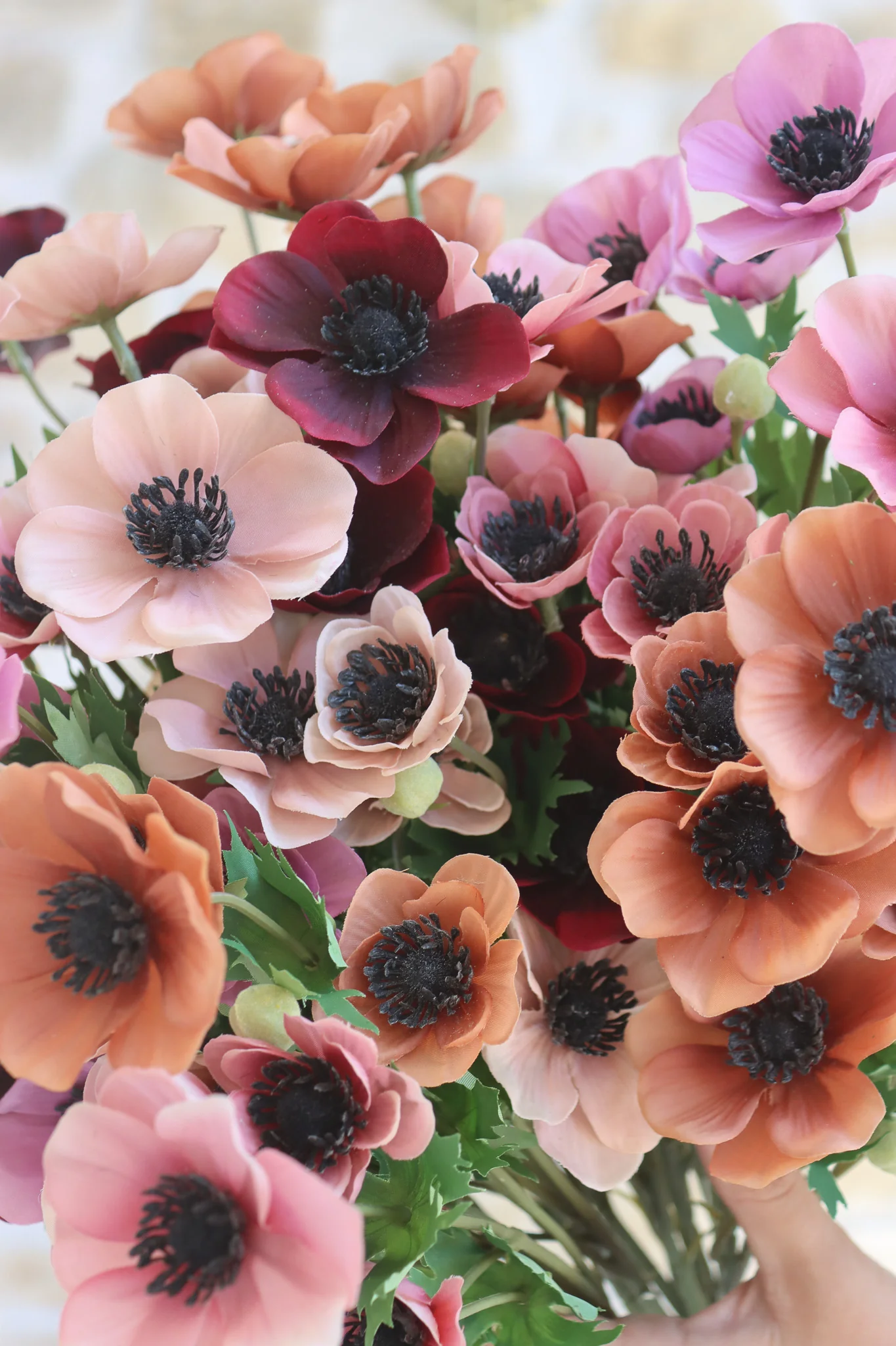 Anemone Bundle - Berry Meadow - Image 4