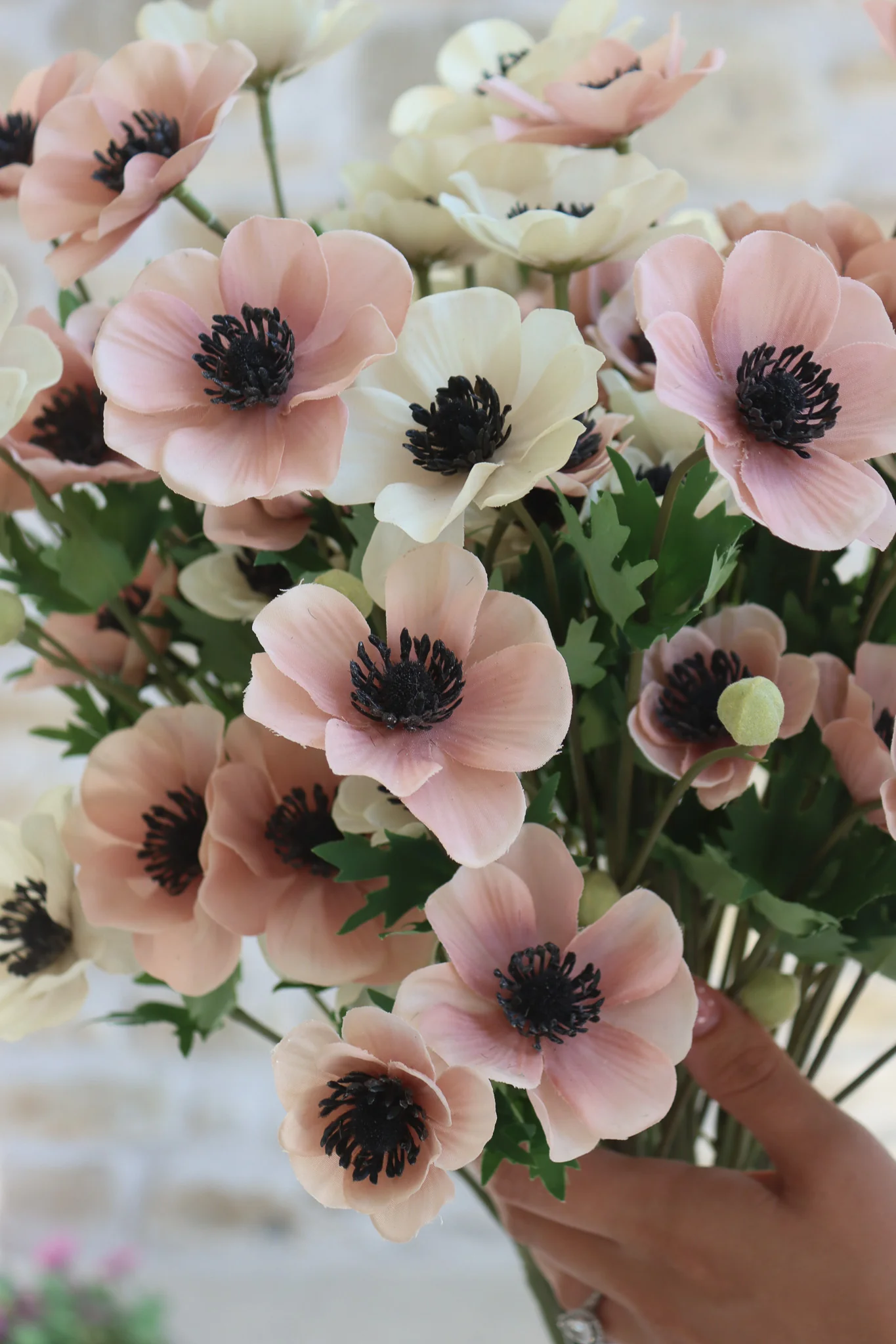 Anemone Bundle - Summer Blush - Image 3