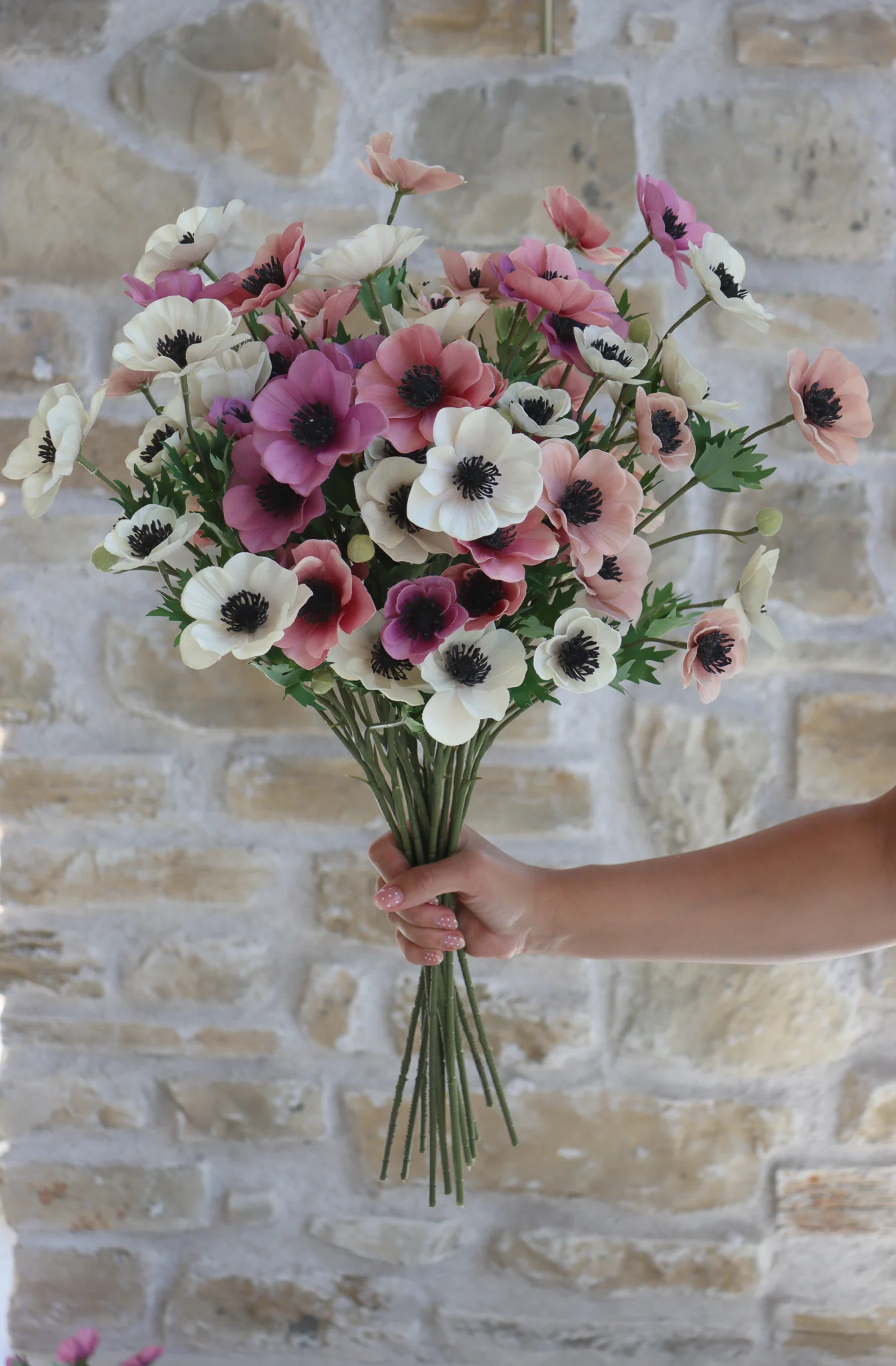 Anemone Bundle - Summer Sorbet - Image 3