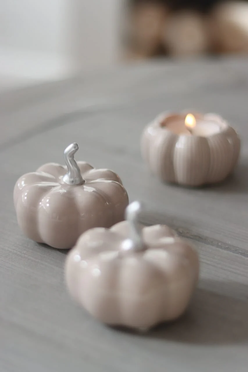Ceramic Pumpkin Autumn - Small 2PC