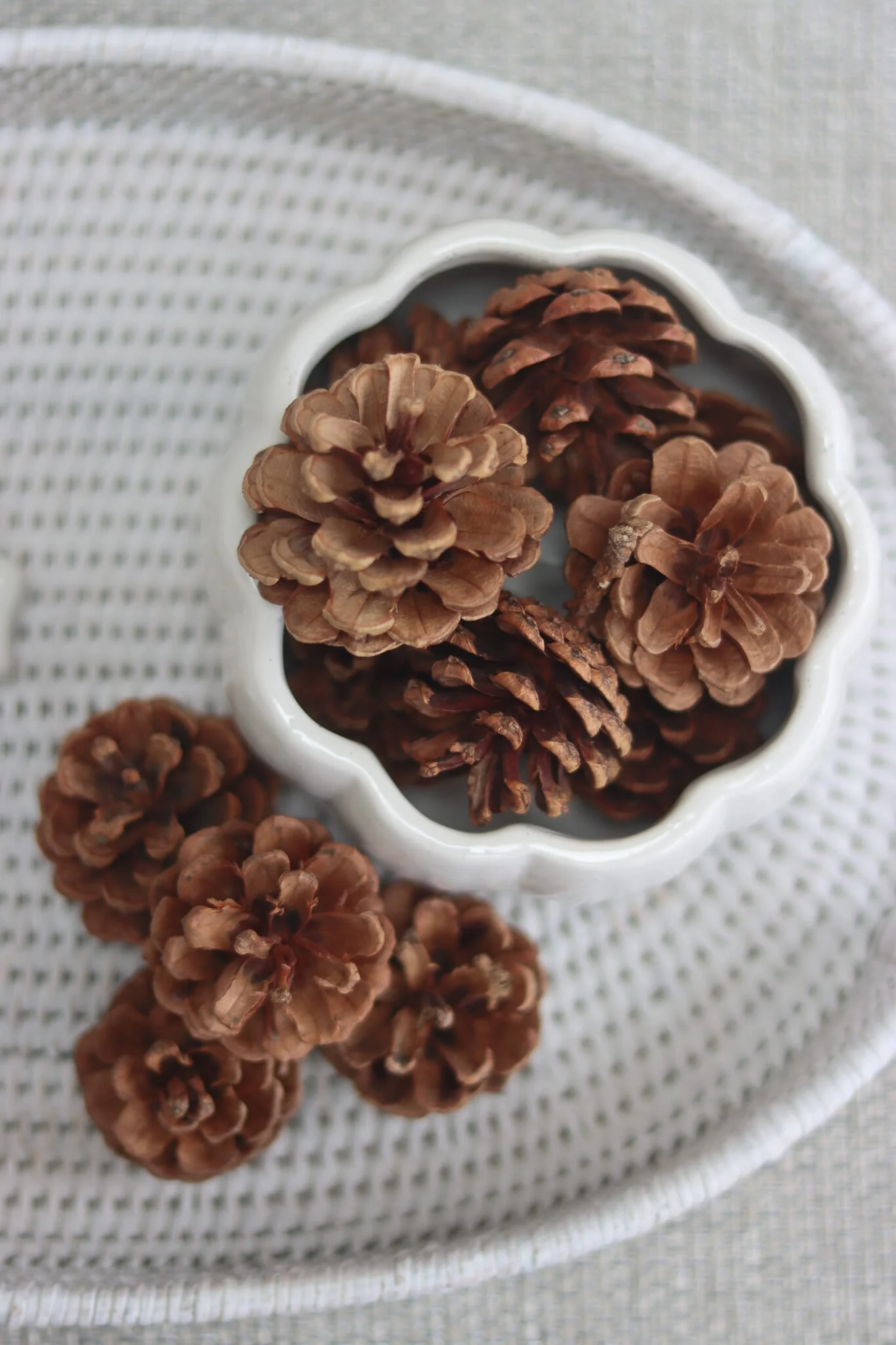 Ceramic Pumpkin Bowl - Matt White - Image 2