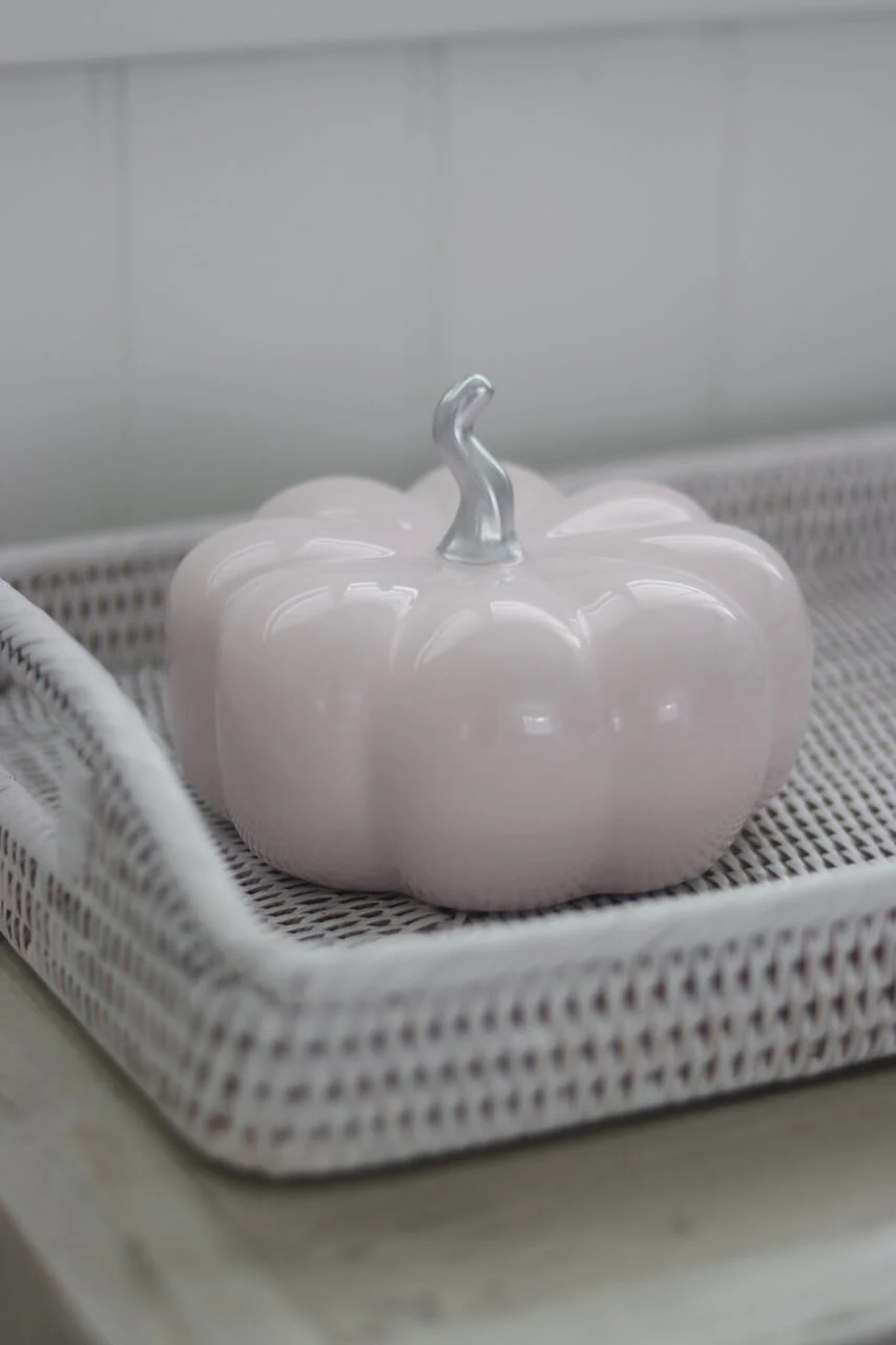 Ceramic Pumpkin Light Pink/Silver - Large