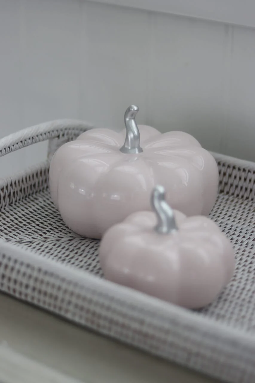 Ceramic Pumpkin Light Pink/Silver - Large - Image 2