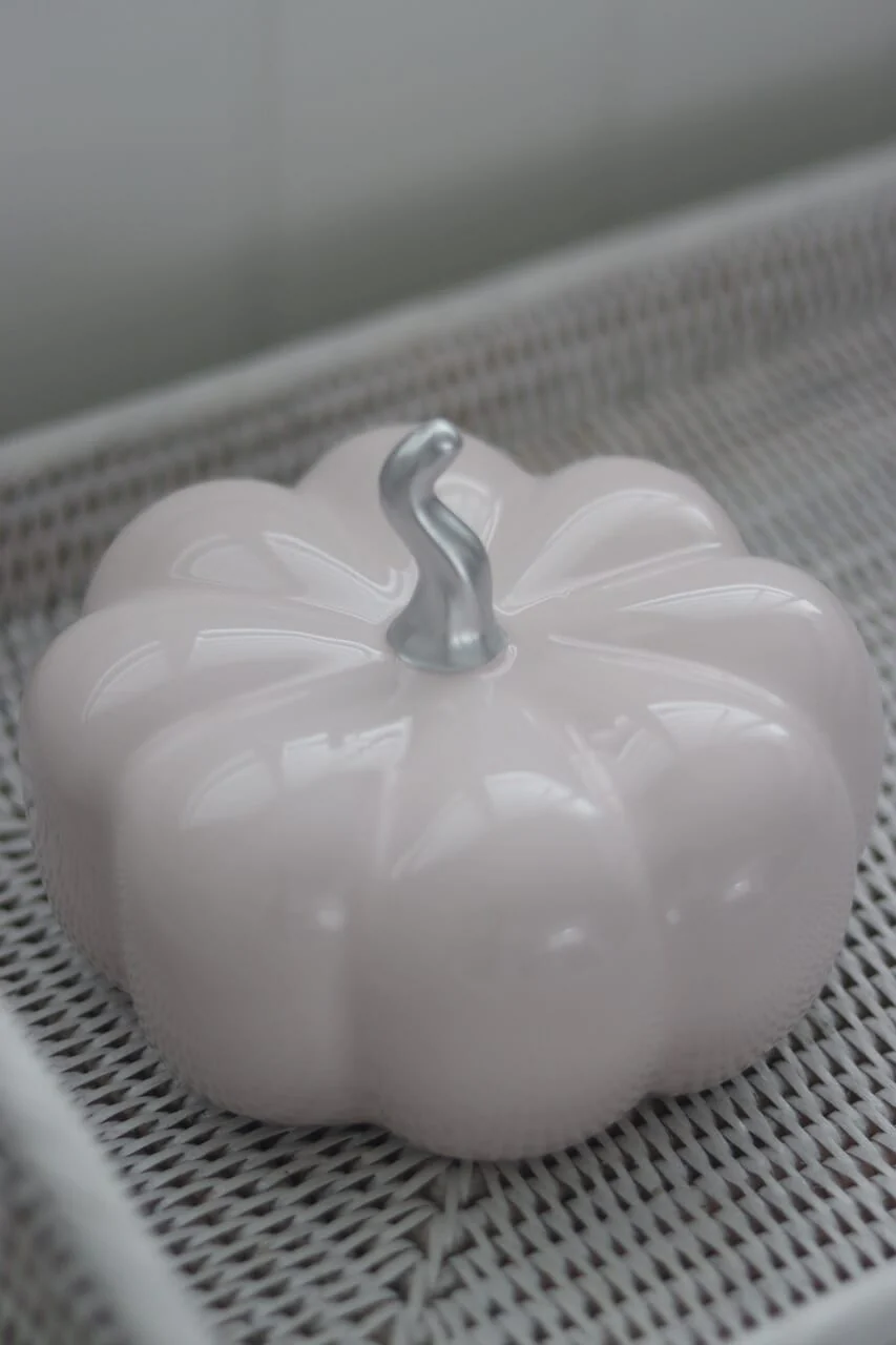 Ceramic Pumpkin Light Pink/Silver - Large - Image 4