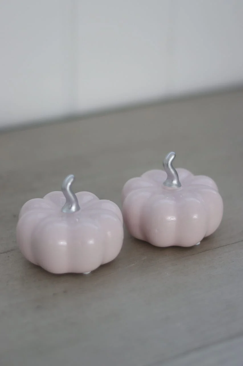 Ceramic Pumpkin Light Pink/Silver - Small 2PC