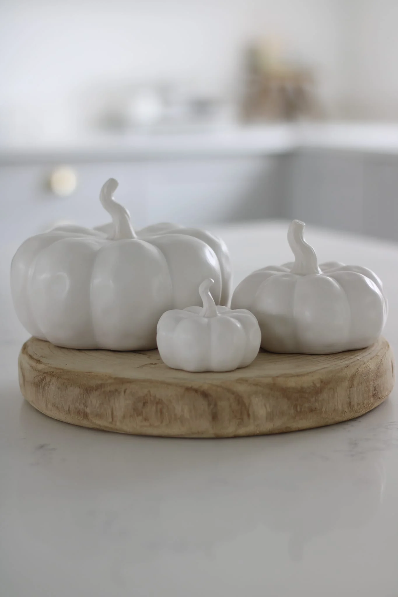 Ceramic Pumpkin Trio - Matt White - Image 5