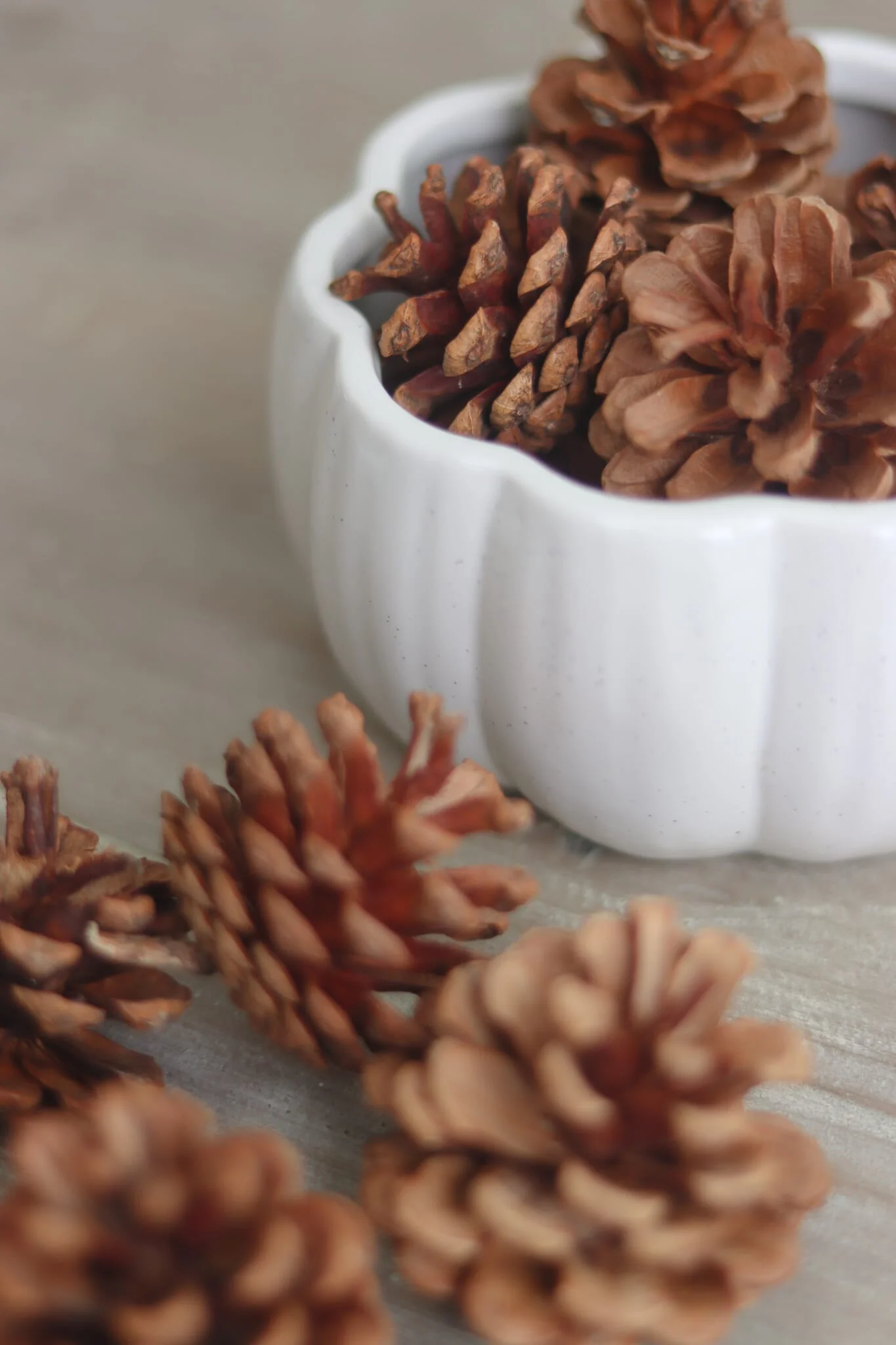Decorative Pinecones - 20pc - Image 2