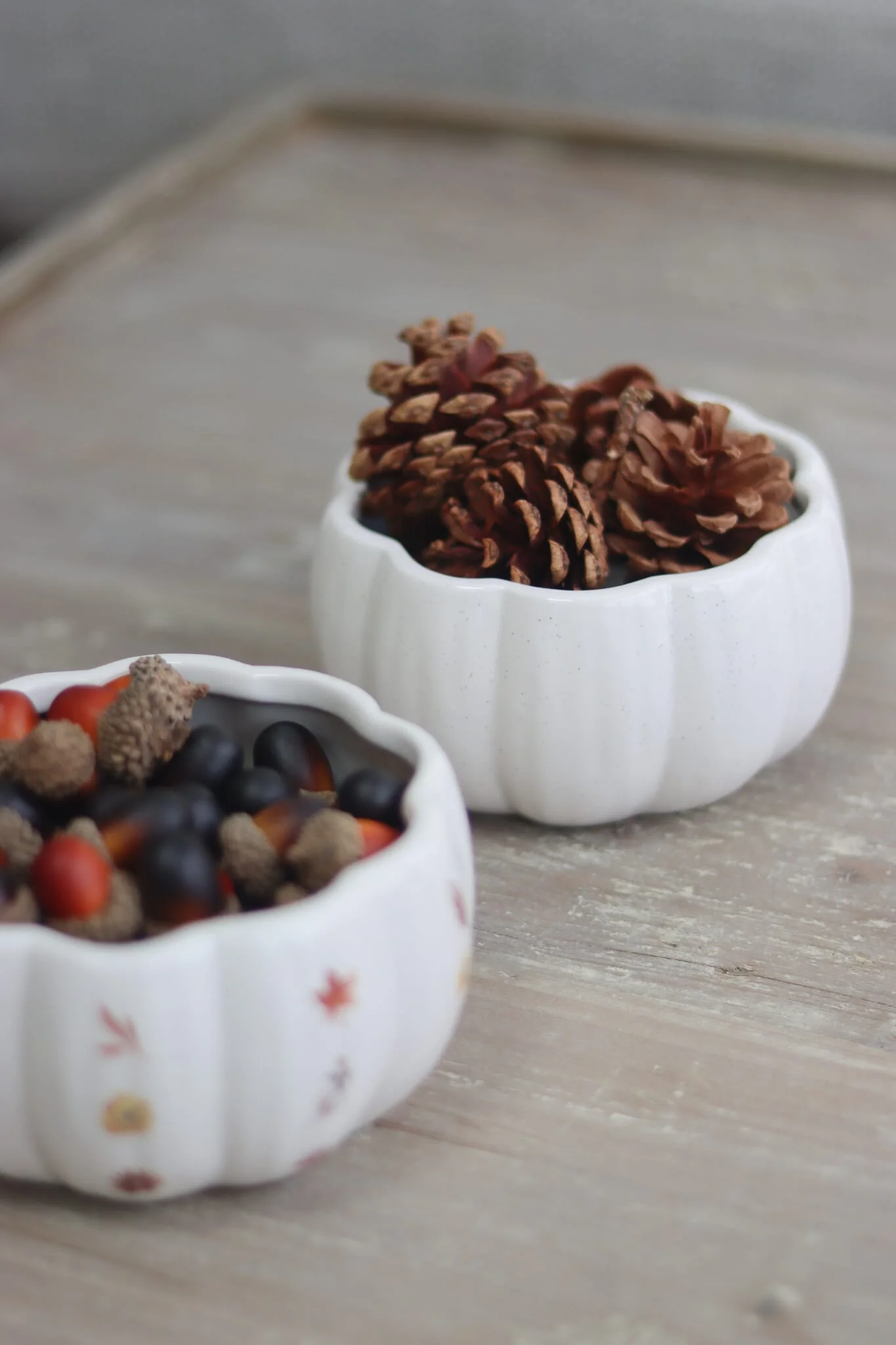 Decorative Pinecones - 20pc - Image 4