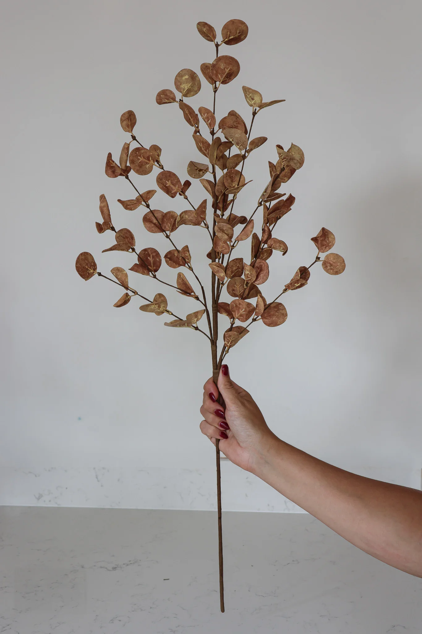 Faux Eucalyptus Spray - Coffee - Image 3