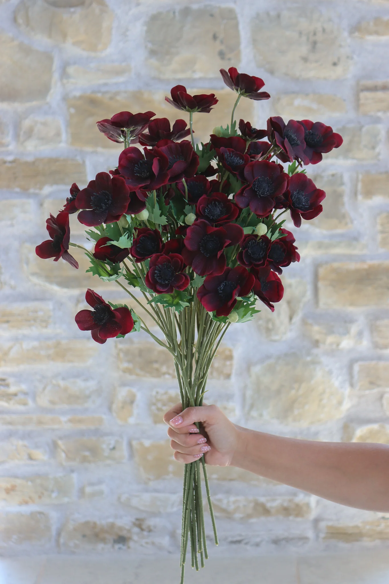 Faux Flowers - Anemone - Burgundy - Image 3