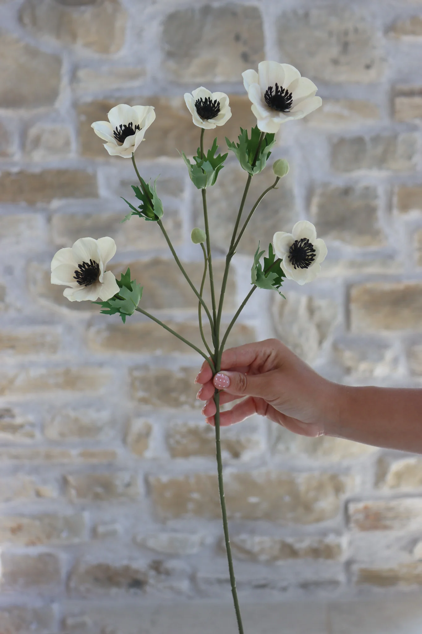 Anemone Bundle - Summer Blush - Image 5