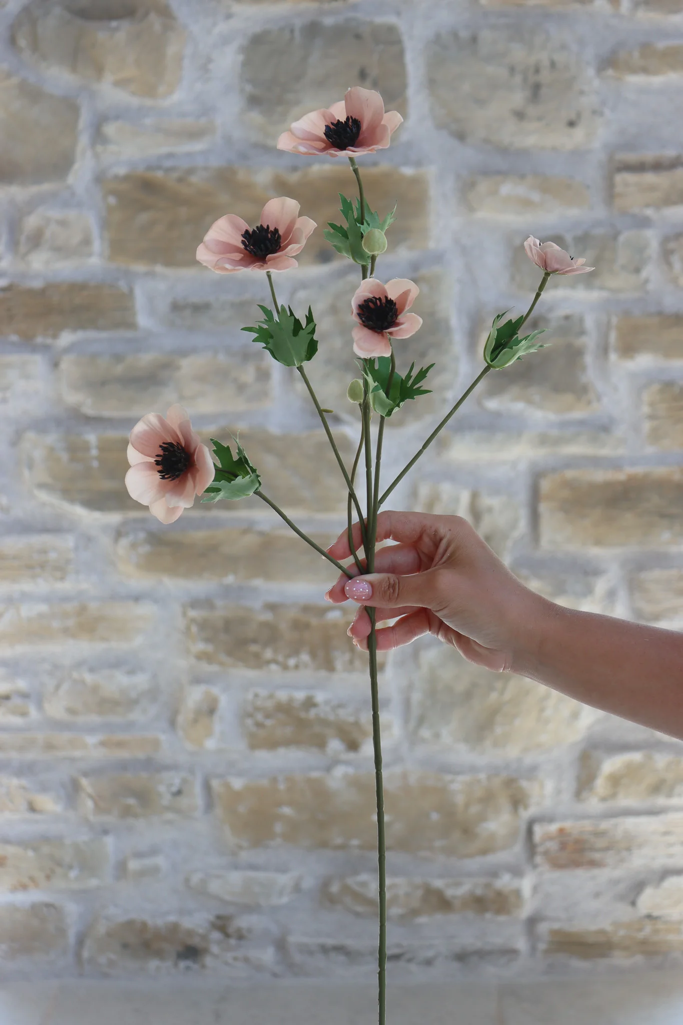Anemone Bundle - Berry Meadow - Image 8