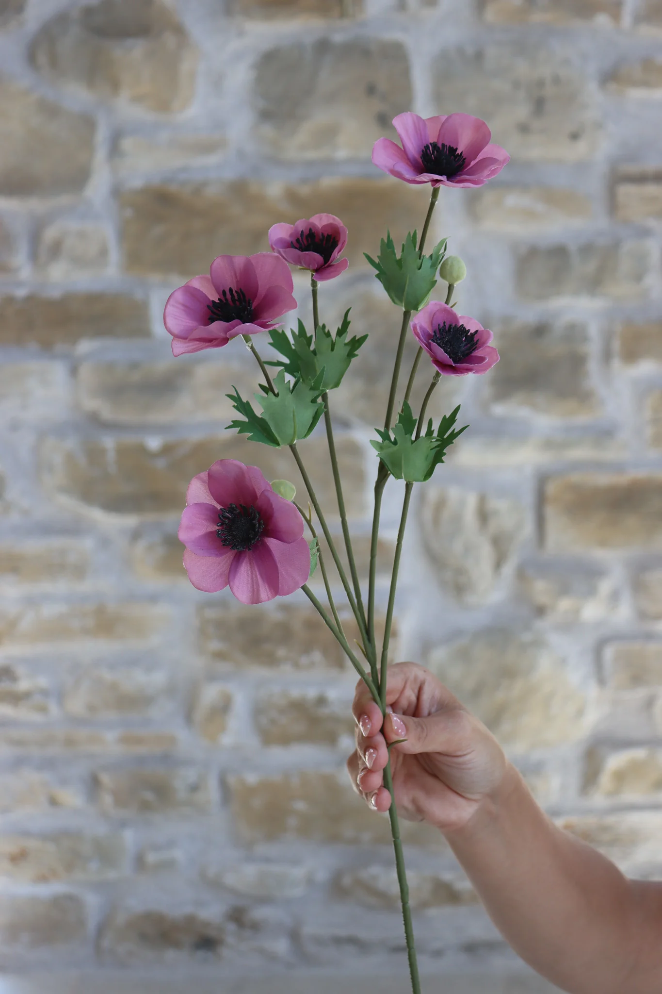 Anemone Bundle - Berry Meadow - Image 10