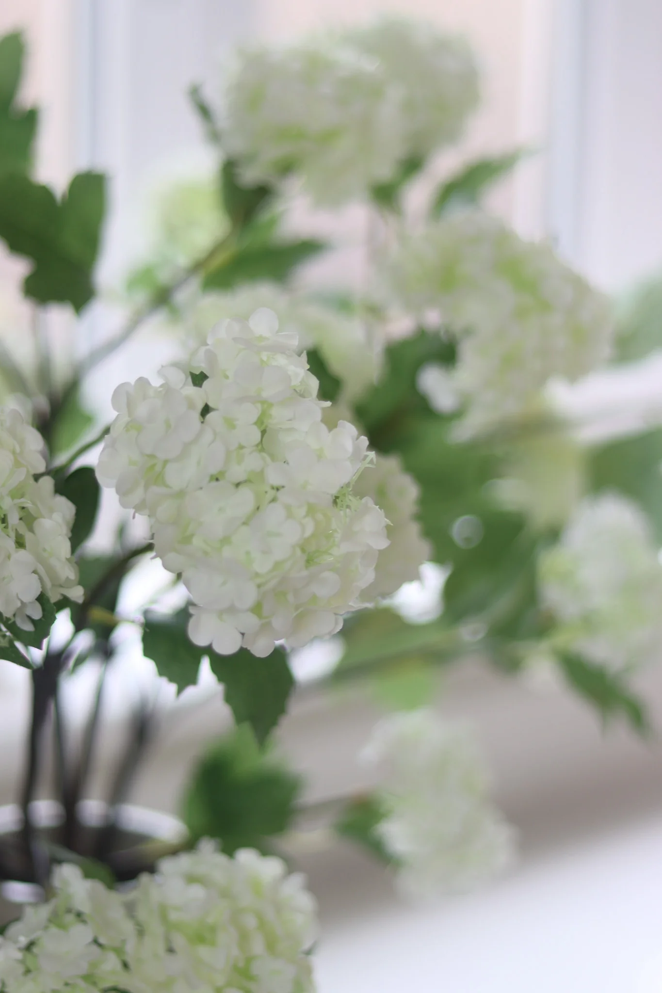 Faux Flowers  - White Viburnum - Image 5