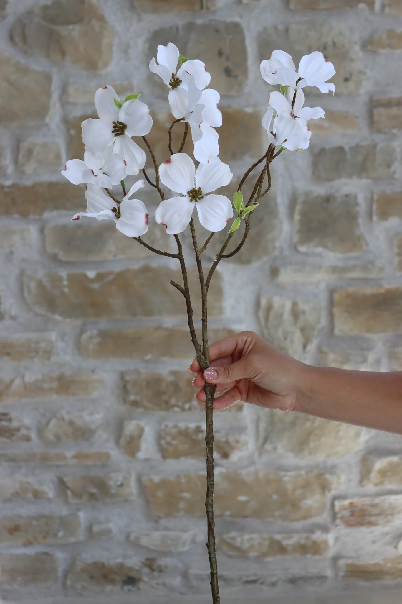 Faux Flowers - Dogwood Spray - White