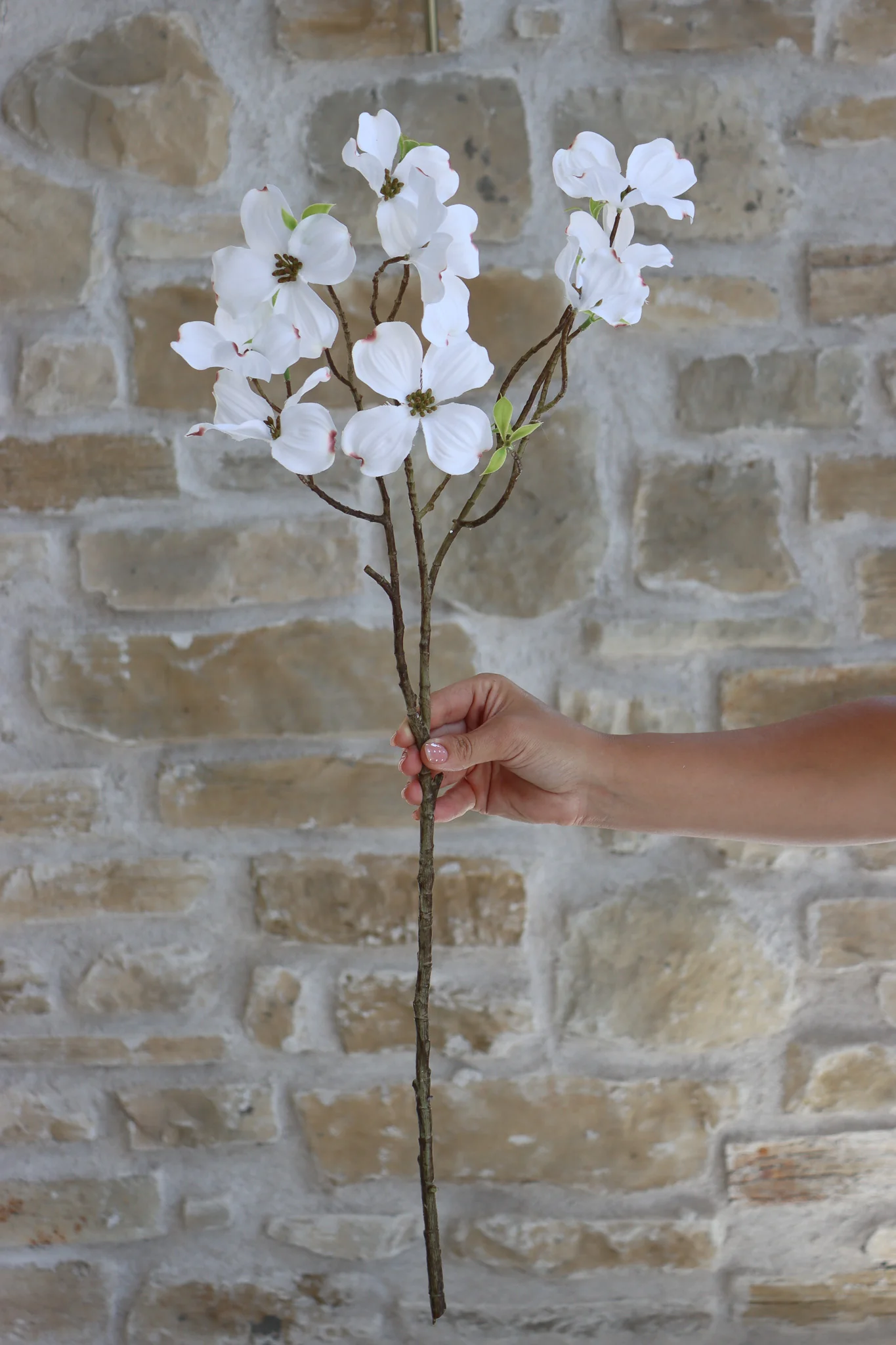 Faux Flowers - Dogwood Spray - White - Image 3