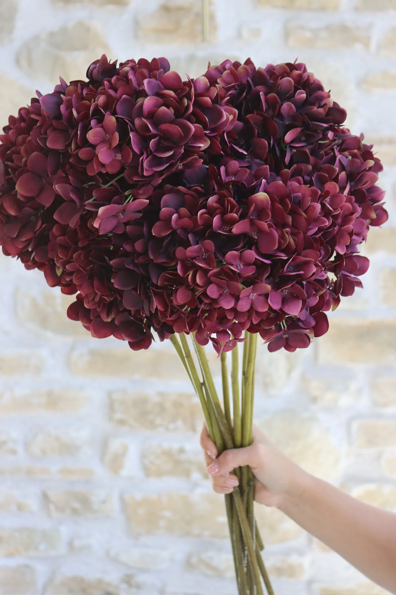 Faux Flowers - Hydrangea - Burgundy - Image 3