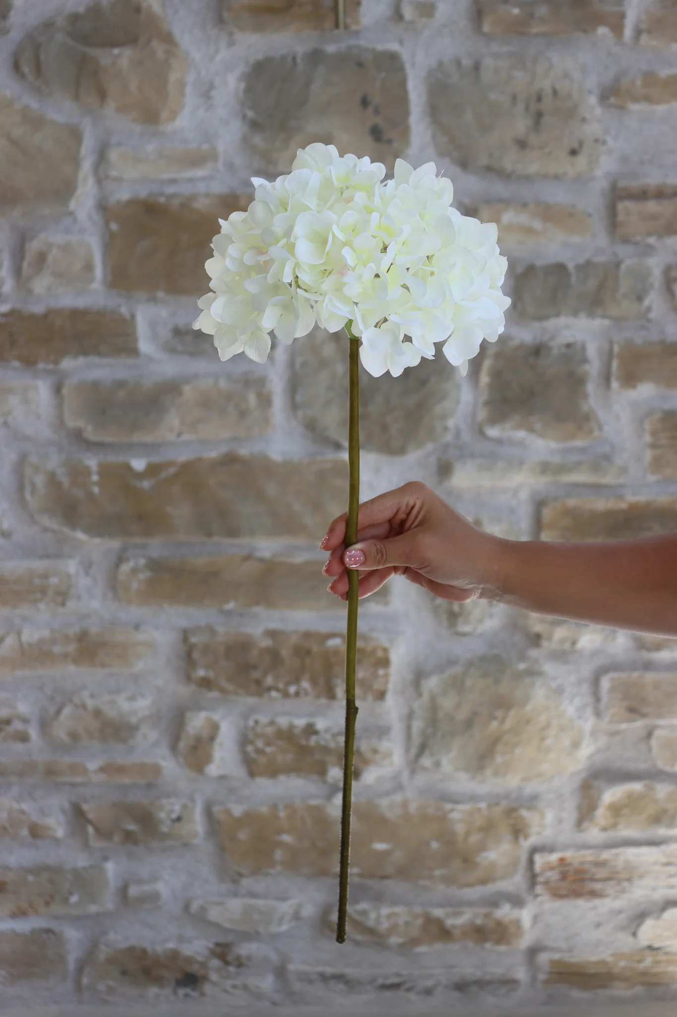 Faux Flowers - Hydrangea - White - Image 4