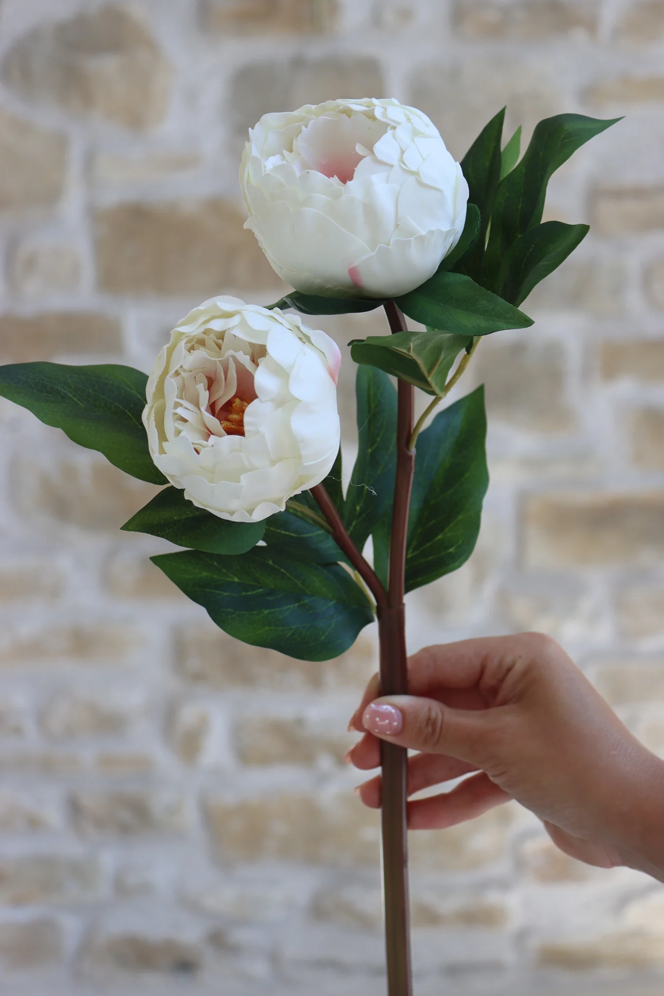 Faux Flowers - Peony Spray - Cream - Image 2