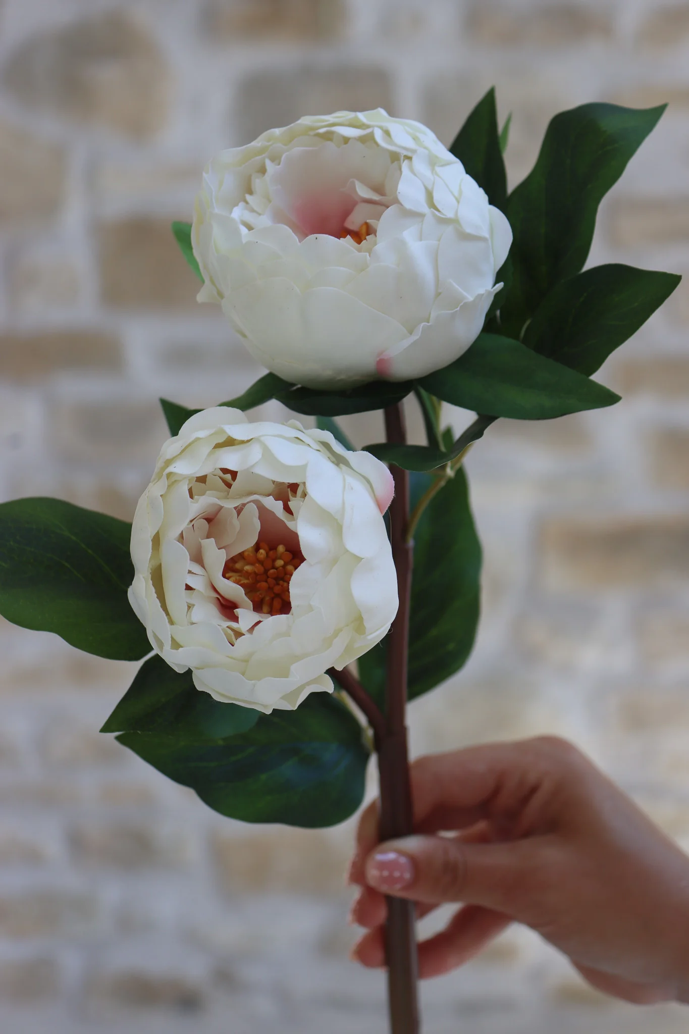 Faux Flowers - Peony Spray - Cream - Image 4