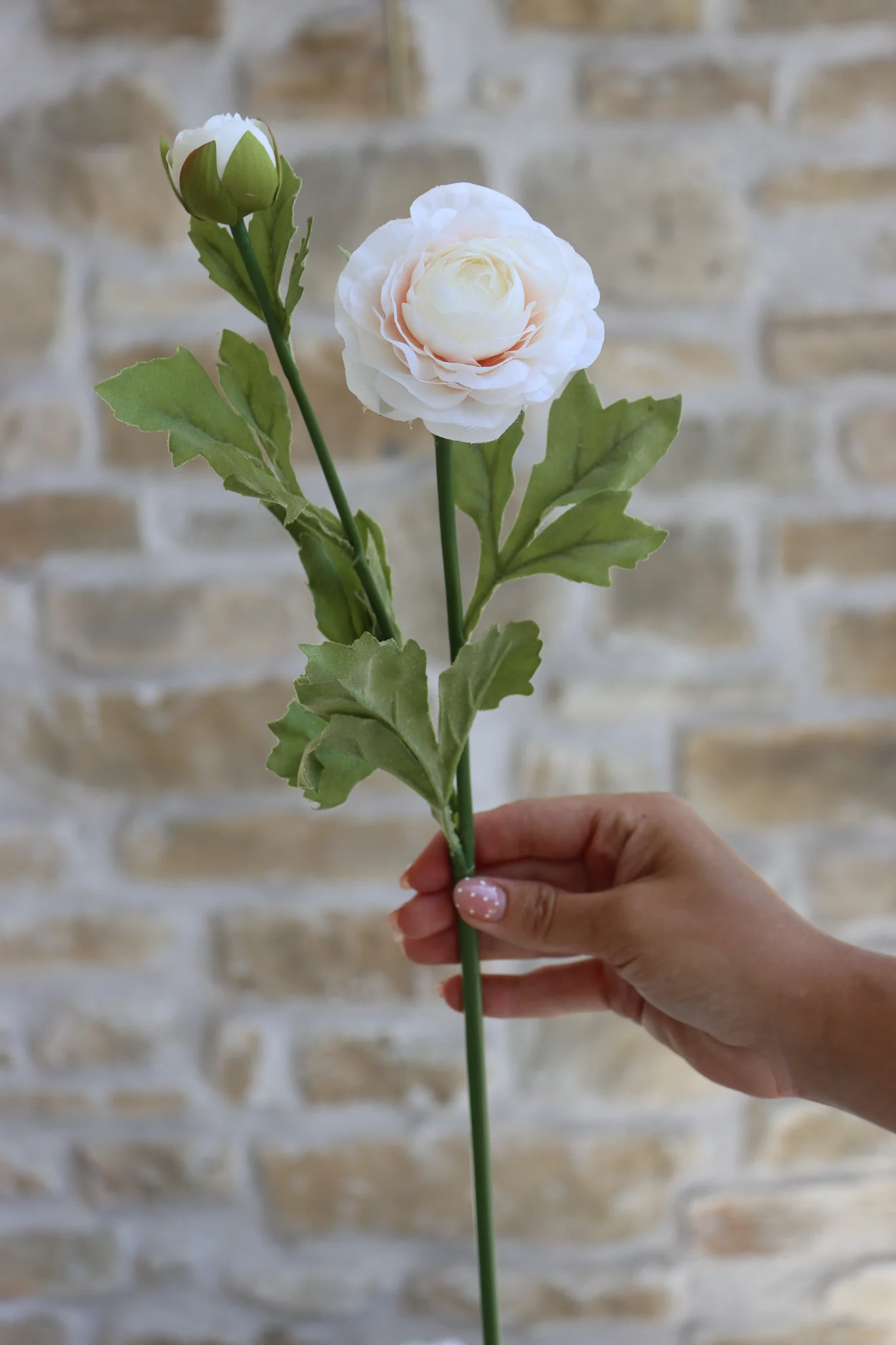 Faux Flowers - Ranunculus Spray - Cream