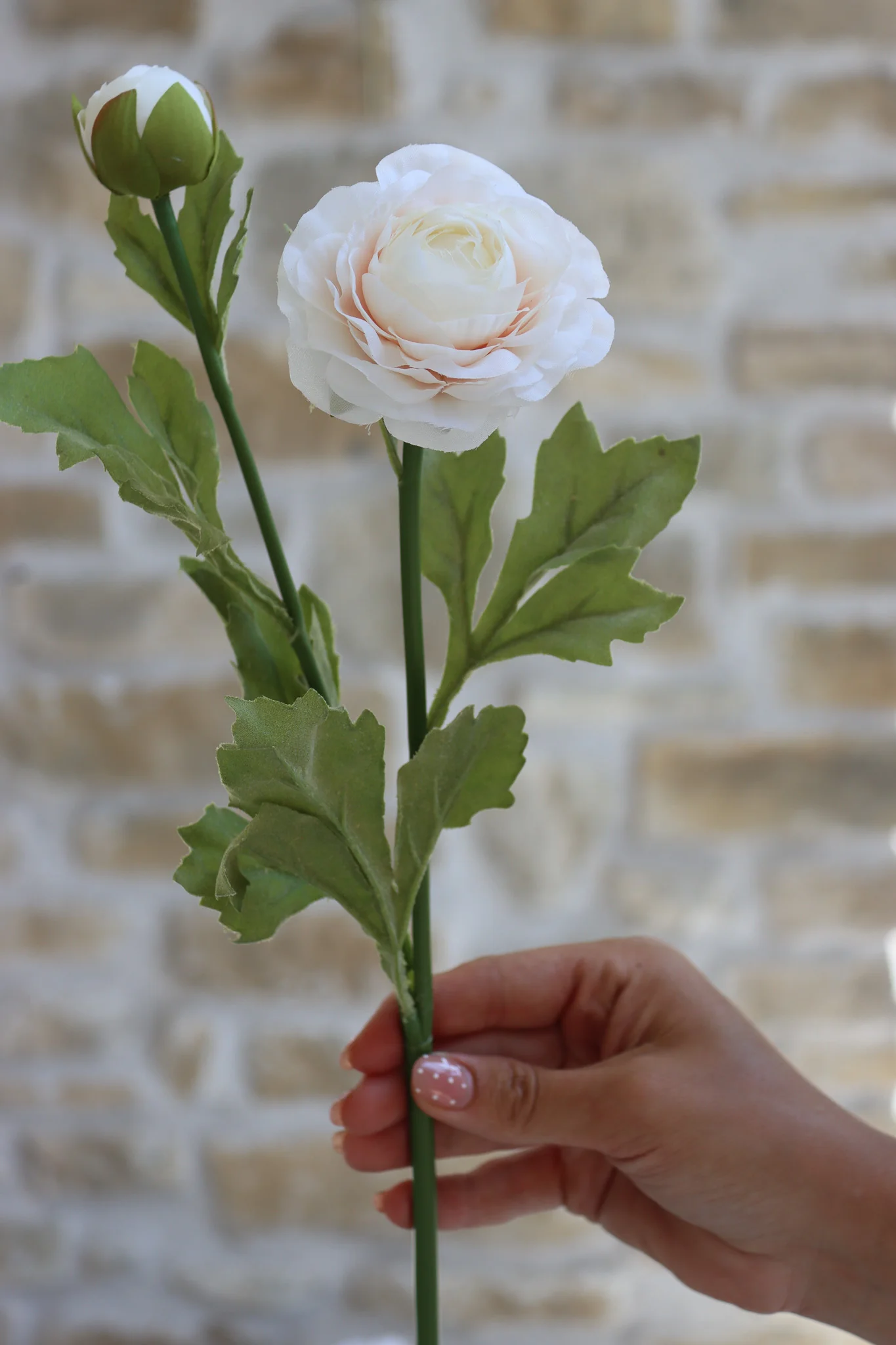 Faux Flowers - Ranunculus Spray - Cream - Image 3