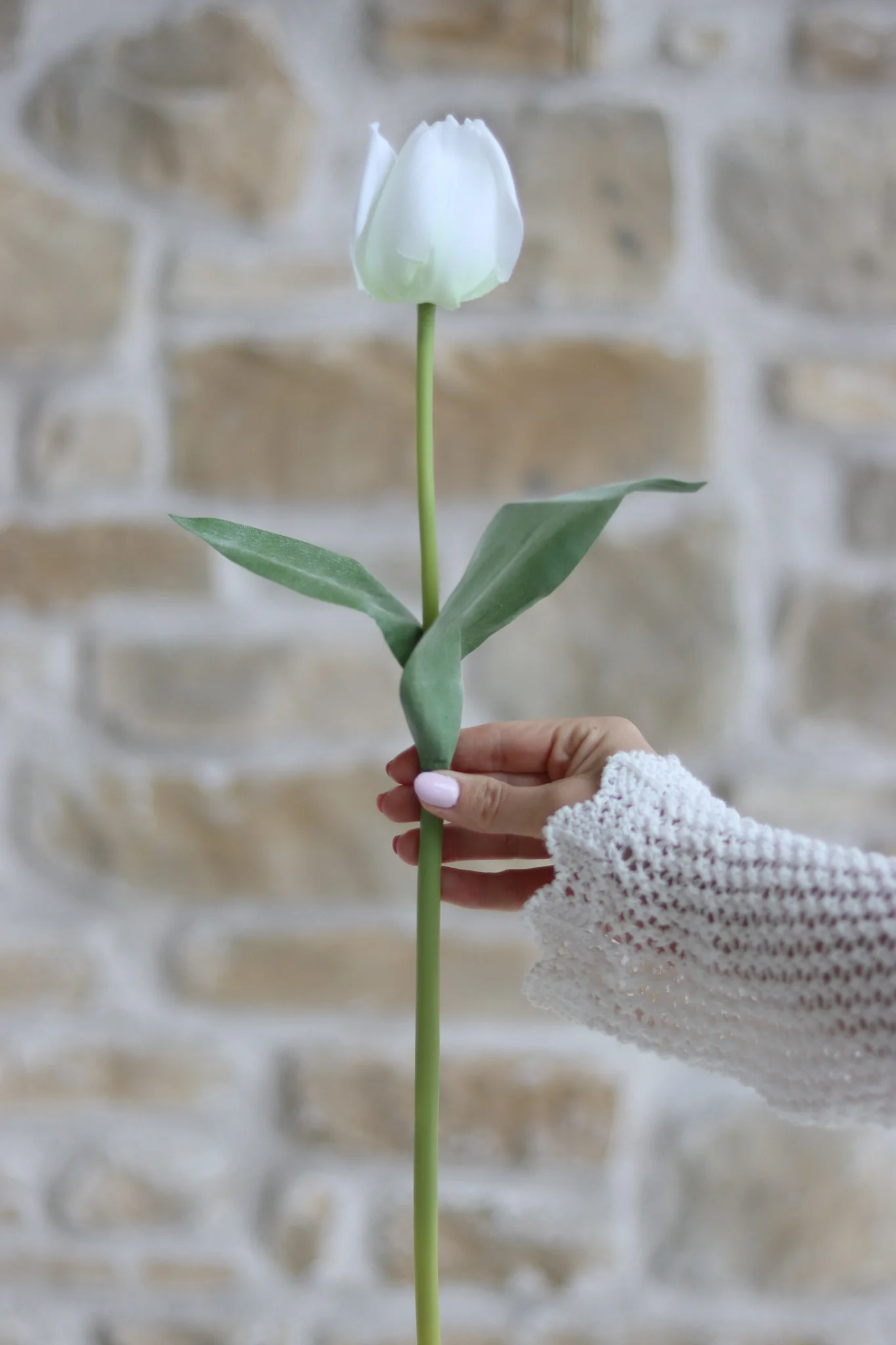 Faux Flowers - White Tulip