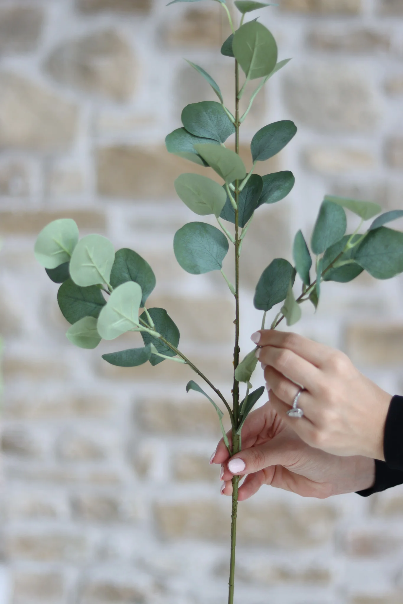 Faux Flowers - Silver Dollar Eucalyptus Spray