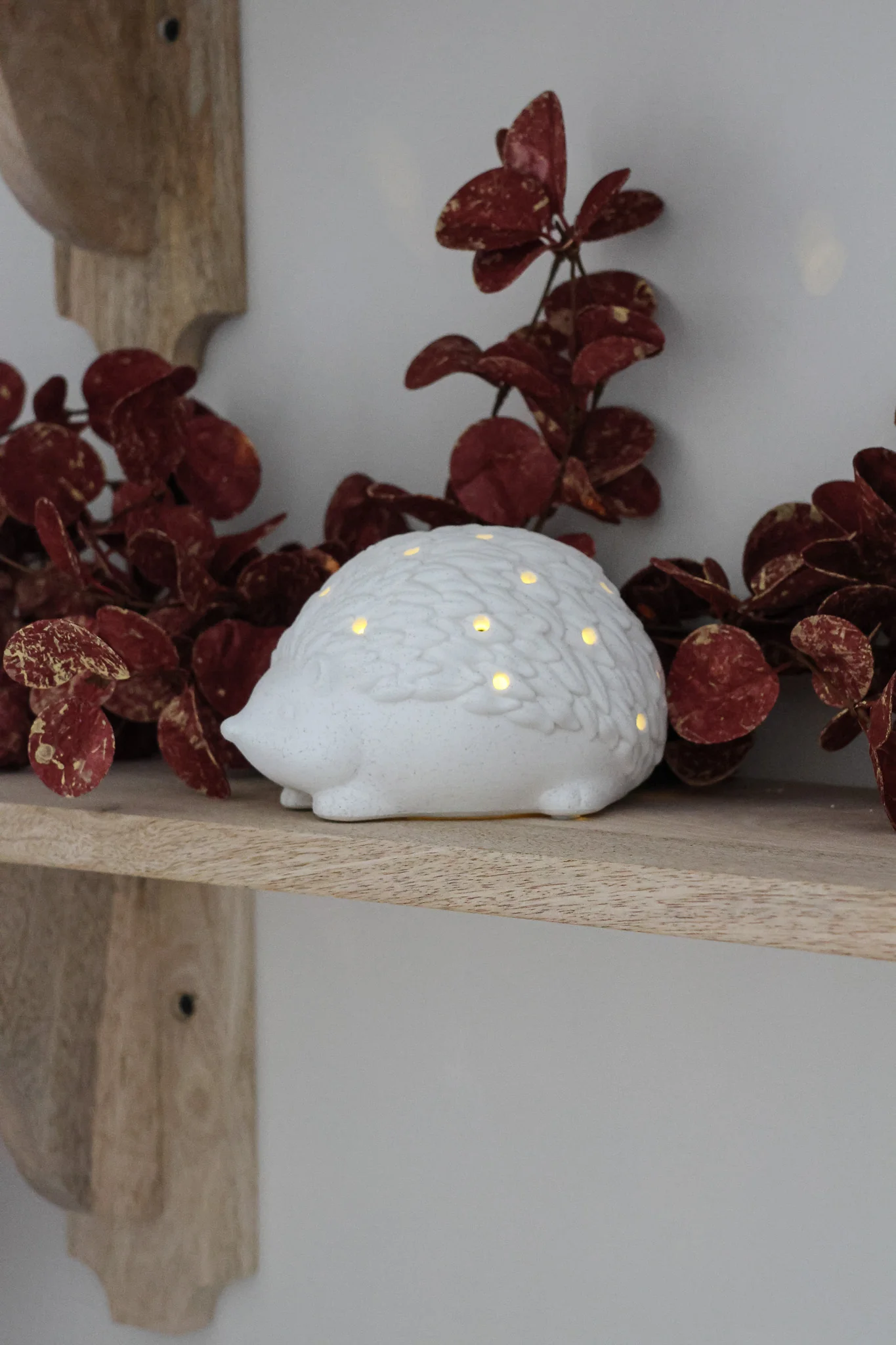 LED Hedgehog - Image 3
