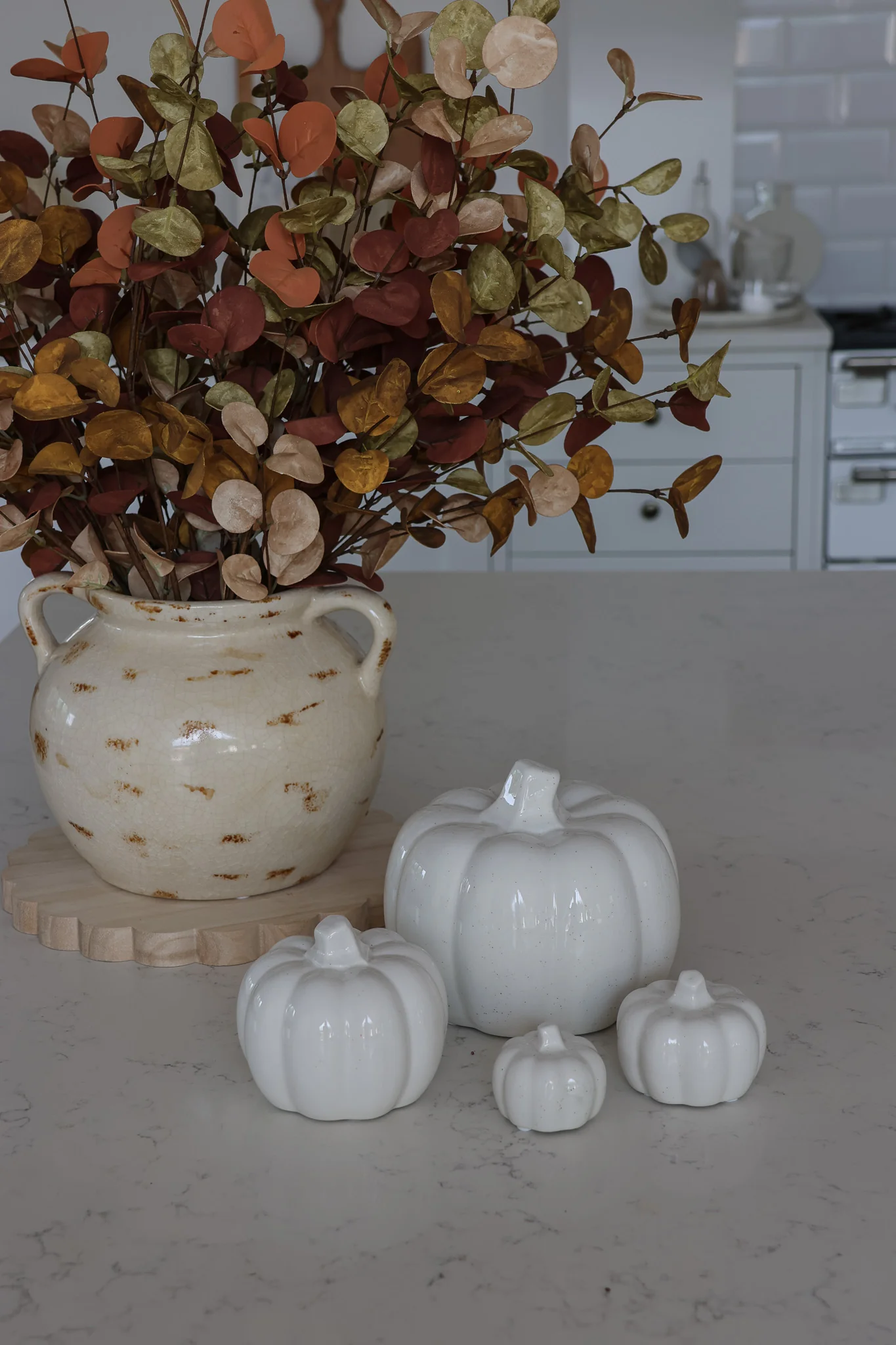 Round Pumpkin Family - Speckled