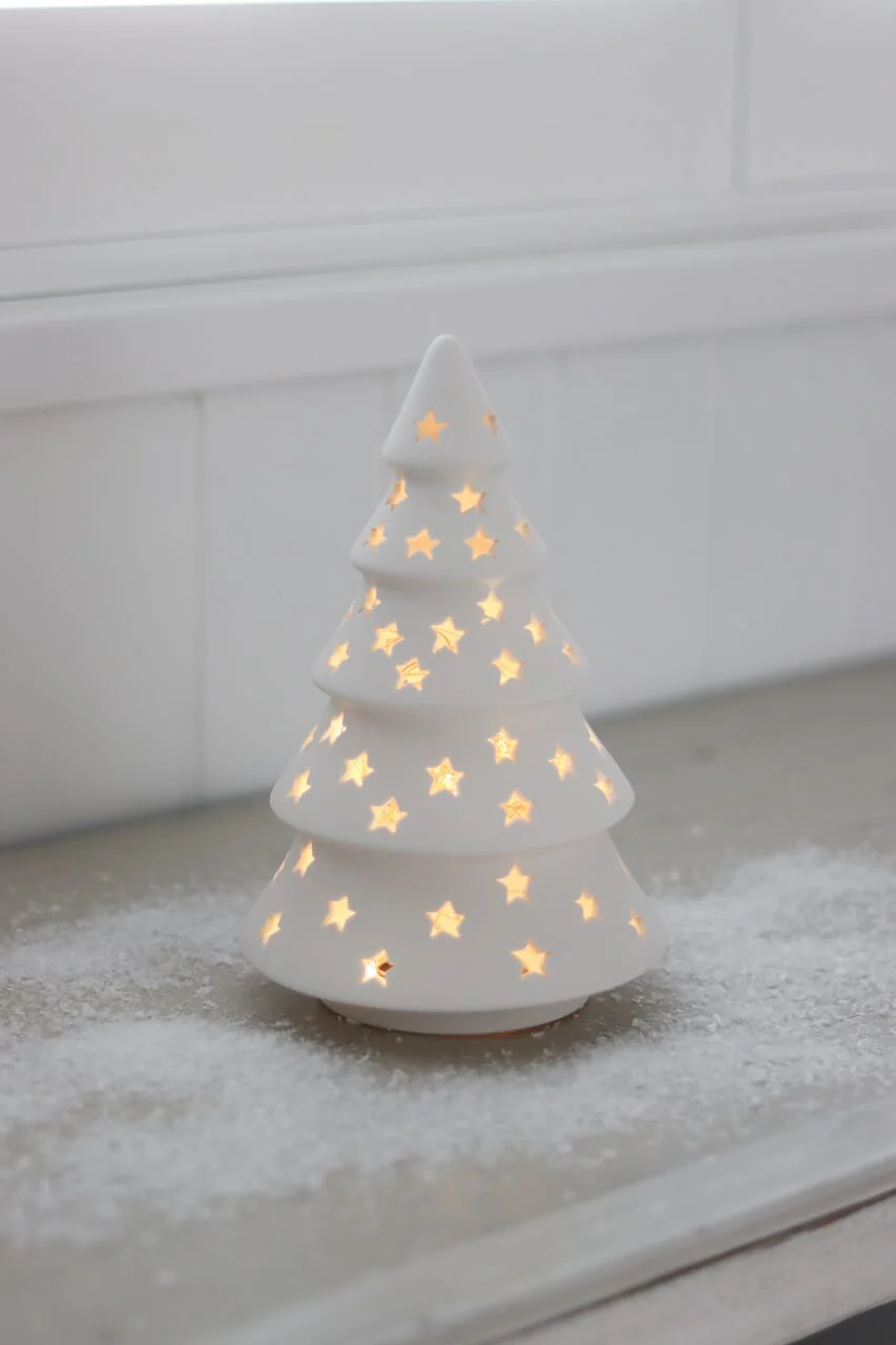 Starry Night Display Bundle - Image 2