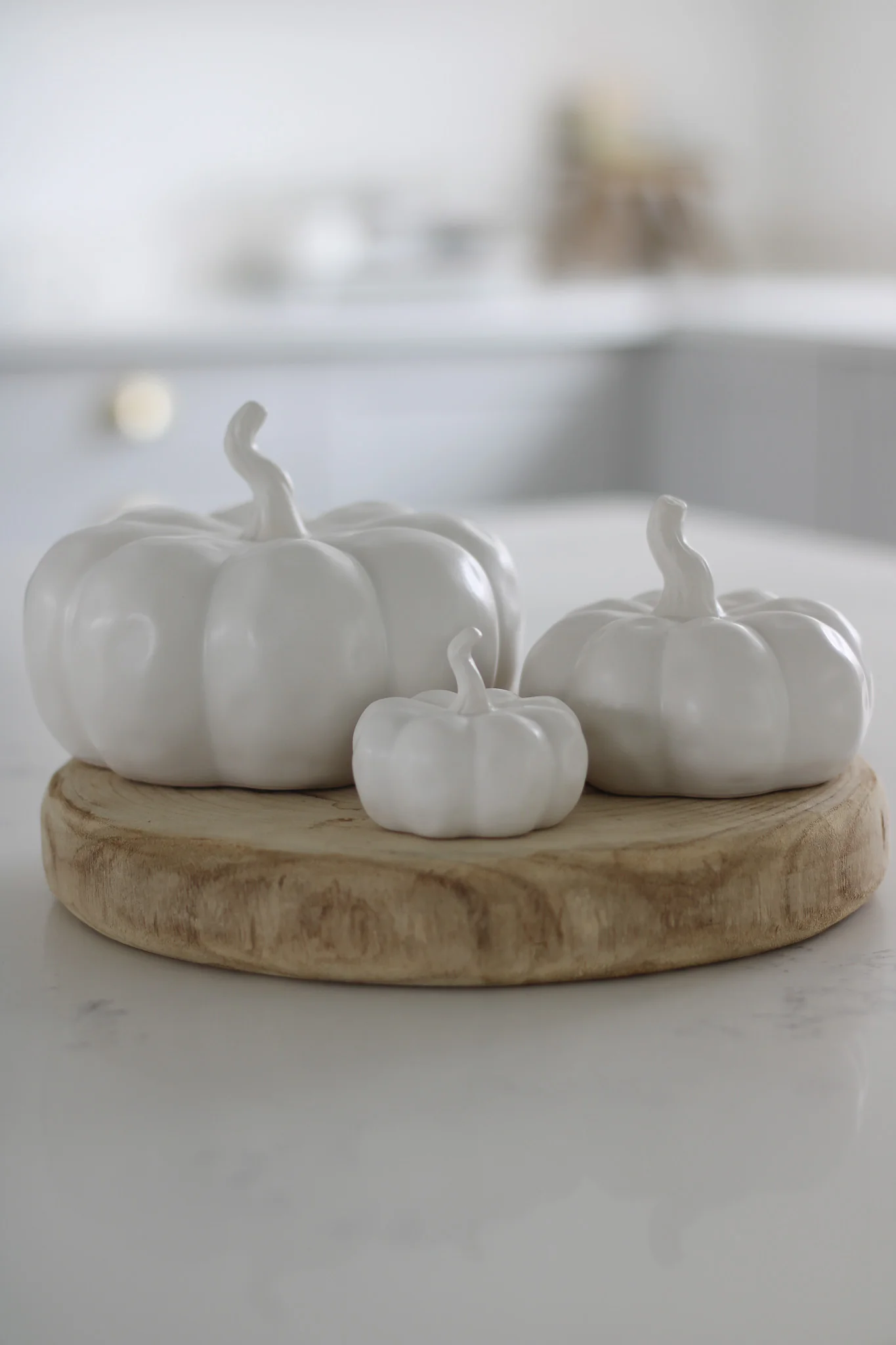 Wooden Board Pumpkin Bundle